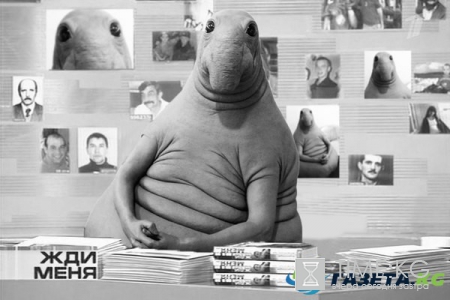 Жди меня, и я вернусь: как новый мем взорвал Интернет