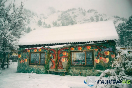 Женщина, сбежавшая на Горный Алтай, показала миру красоту русской природы