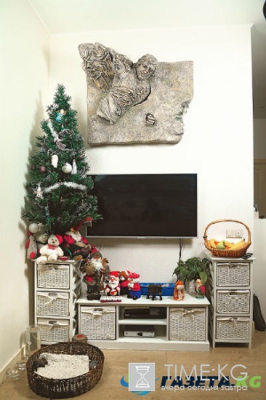 Звезду «Молодежки» Серафиму Низовскую обманули строители