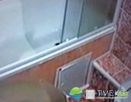 Появились доказательства обмана Лилии Четрару. Фото Появились доказательства обмана Лилии Четрару. Фото