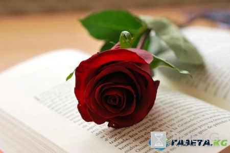 День Святого Валентина: как отмечают праздник в Испании