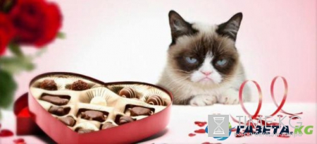 День Святого Валентина с точки зрения психолога: не лезьте в душу к одиноким