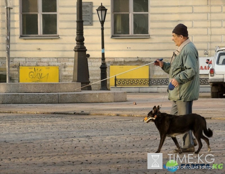 Электронный поводырь стал лучшим социальным проектом 2016 года