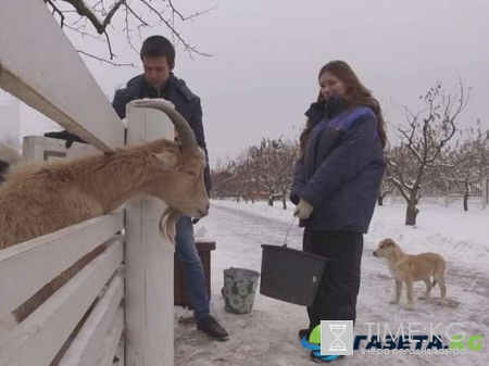 Инстаграмщицы 1 серия смотреть онлайн реалити-шоу на телеканале Пятница