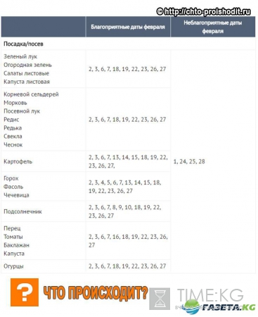 Какую рассаду садить в феврале: перец, томаты, кабачки, какие цветы?