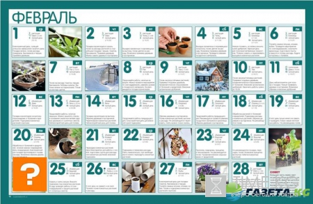 Какую рассаду сажать в феврале по лунному календарю 2017: благоприятные и неблагоприятные дни для посадки, посевной календарь