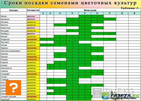 Какую рассаду сажать в феврале по лунному календарю 2017: благоприятные и неблагоприятные дни для посадки, посевной календарь