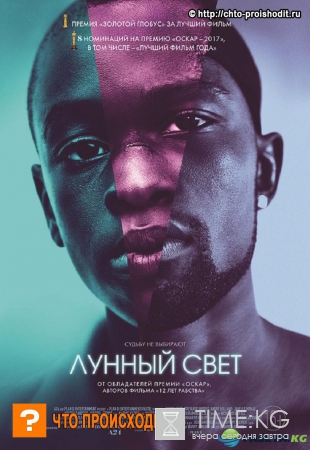 Кинопремию «Оскар» присудили «Лунному свету», чтобы поощрить гомосексуализм чернокожих