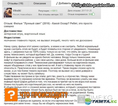Кинопремию «Оскар» присудили «Лунному свету», чтобы поощрить гомосексуализм чернокожих