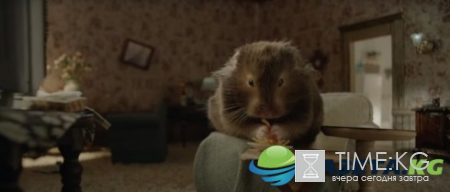 Клип Кэти Перри про хомяка за неделю посмотрели более 20 млн раз