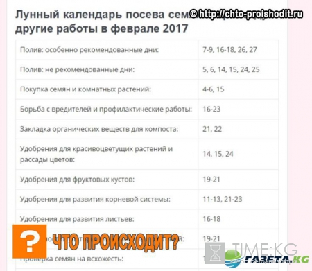 Лунный календарь для растений и рассады на февраль 2017 года: когда сажать рассаду, самые благоприятные дни