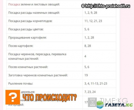 Лунный календарь для растений и рассады на февраль 2017 года: когда сажать рассаду, самые благоприятные дни