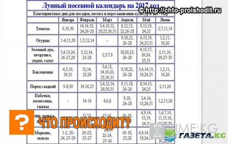 Лунный календарь огородника и садовода на 2017 год: таблица