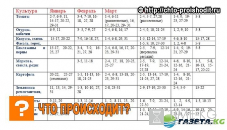 Лунный календарь посадок на 2017 год в таблице, посевной календарь на февраль, год, благоприятные дни