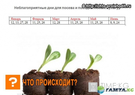 Лунный календарь посадок на 2017 год в таблице, посевной календарь на февраль, год, благоприятные дни