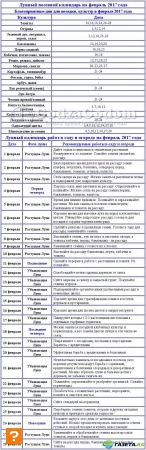 Лунный календарь посадок на 2017 год в таблице: посевной календарь на февраль и на год, какую рассаду сажать в феврале