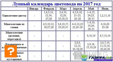Лунный календарь посадок на 2017 год в таблице: посевной календарь на февраль и на год, какую рассаду сажать в феврале