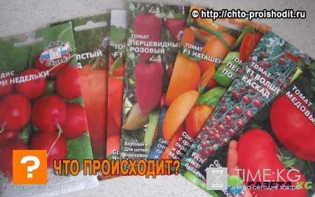 Лунный посевной календарь на 2017 года садовода и огородника: таблица, благоприятные и неблагоприятные дни