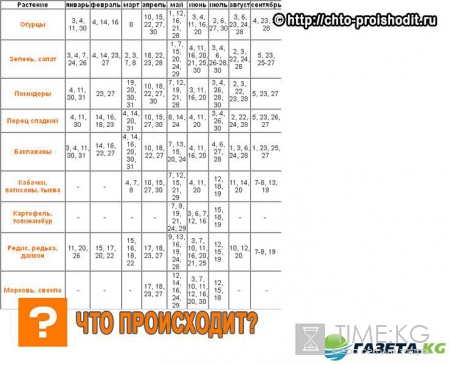 Лунный посевной календарь на 2017 года садовода и огородника: таблица, благоприятные и неблагоприятные дни