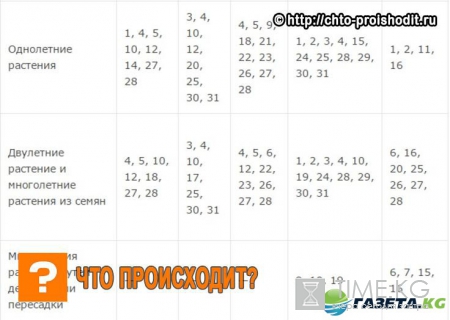 Лунный посевной календарь на 2017 года садовода и огородника