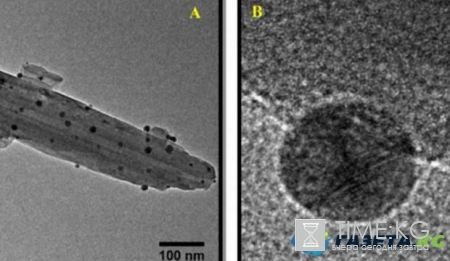 Научные открытия: ученые создали нанотрубки с защитным эффектом