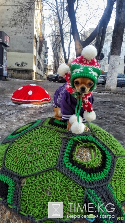 Не проходите мимо. Замечательный вязано-живописный уголок Кишинева.