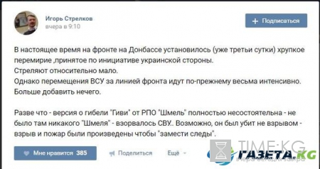 Никакого "Шмеля" не было, Гиви убили раньше, а потом взрывом "замели следы" - Гиркин