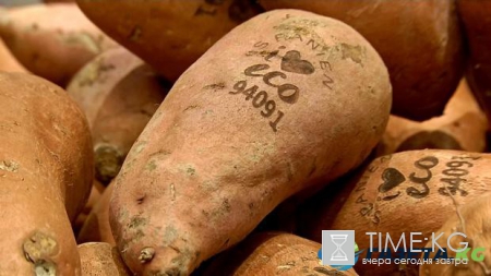 Новые технологии: в шведском супермаркете пластиковую упаковку заменили лазером