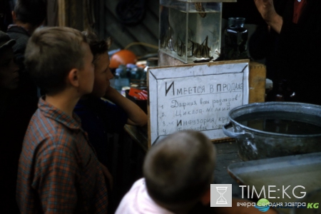 Огромная коллекция фото СССР глазами профессора Хаммонда (1956-58). Экскурсия в прошлое.