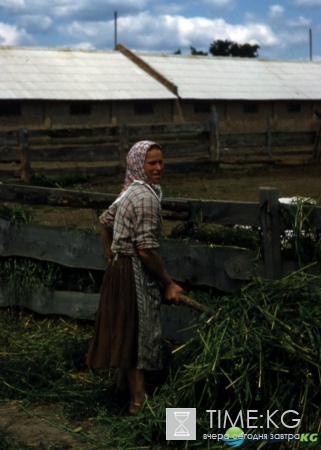 Огромная коллекция фото СССР глазами профессора Хаммонда (1956-58). Экскурсия в прошлое.