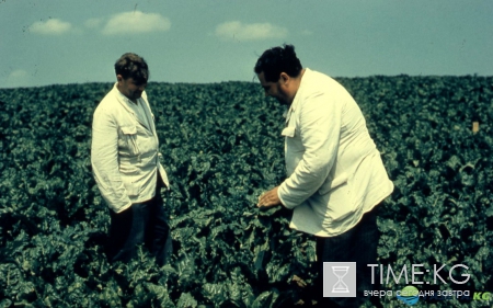 Огромная коллекция фото СССР глазами профессора Хаммонда (1956-58). Экскурсия в прошлое.