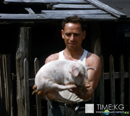 Огромная коллекция фото СССР глазами профессора Хаммонда (1956-58). Экскурсия в прошлое.