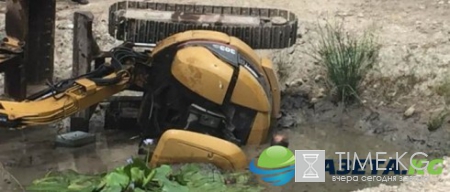 Оказавшийся в болоте австралиец выжил благодаря позе кобры