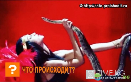 Ольга Бузова, целуясь со змеей, показала свои «На 50 оттенков темнее»