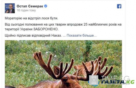 "Опоздали": в Украине отныне запрещена охота на лосей