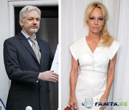Памела Андерсон «нравится» основателю WikiLeaks