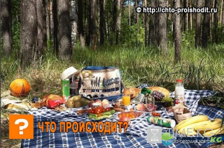 Подарки на 23 февраля: чем удивить мужа, отца, коллегу и друга