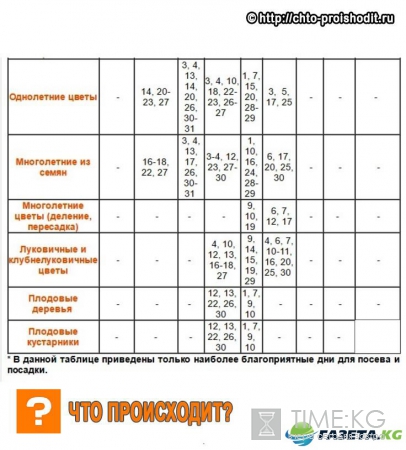 Посевной календарь 2017 года садовода и огородника, что сажать в феврале и марте