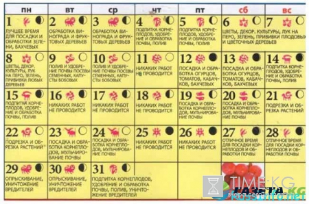Посевной календарь на май 2017 года