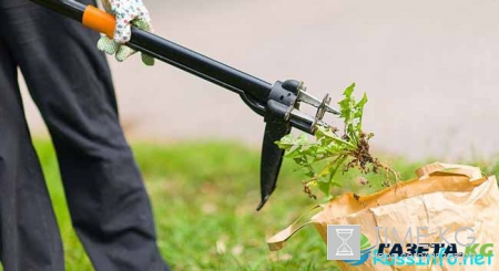 Посевной календарь на май 2017 года