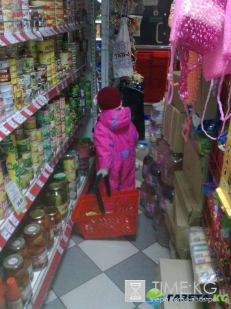 Продуктовые карточки в России в 2017 году кто их получит и когда