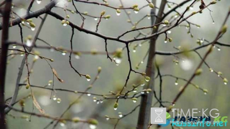 Прогноз погоды на апрель 2017 года для Москвы и всей России
