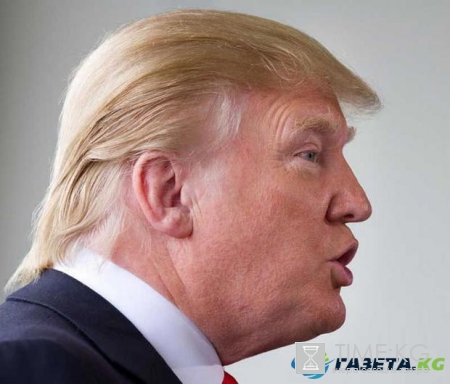 Рыба-Трамп: жители Манчестера прозвали аквариумного жителя в честь президента США