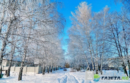 Сегодня в Украине будет солнечно и сухо