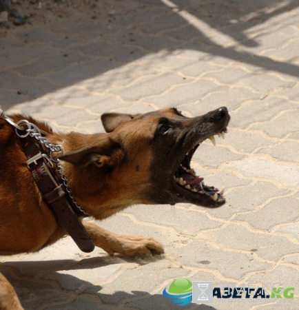 Трагическая гибель вдовы диктора шокировала общественность