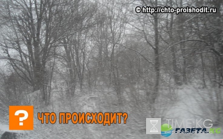 Youtube видео падающего венесуэльского лыжника, который «вез контрабанду», шокирует судей