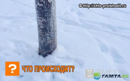 Youtube видео про венесуэльского лыжника, который никогда до ЧМ не видел снега, стало хитом