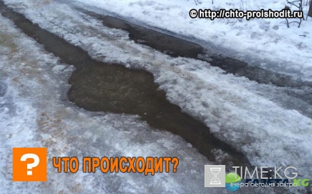 Ютуб покоряет видео лыжника, который до Чемпионата мира никогда не видел снега – это невозможно было представить