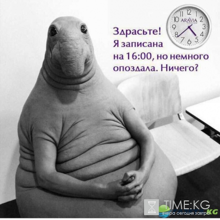 Ждун кто это, откуда появился, фото мегапопулярного мема