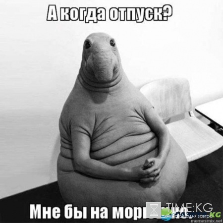 Ждун кто это, откуда появился, фото мегапопулярного мема